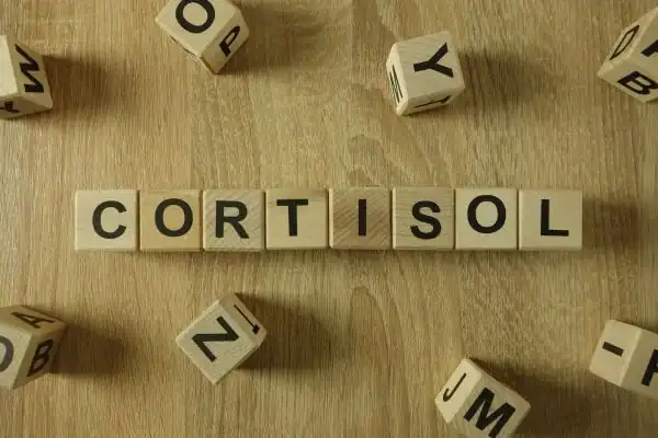 The Hidden Connection: How Stress Shapes Your Fitness and Body Composition 2 Image saying "Cortisol" and how stress Dorset impacts your wellbeing and bodies shape